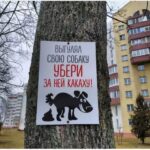 0Снимок
